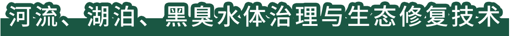 河流、湖泊、黑臭水體治理與生態(tài)修復(fù)技術(shù)