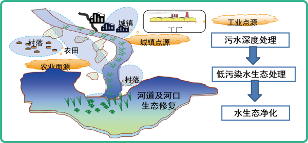 人工濕地，人工濕地建設(shè)